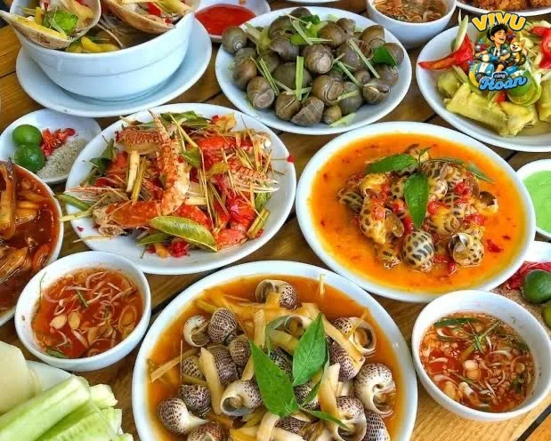 Ảnh tham khảo về Ốc Gật Gù Hạ Long