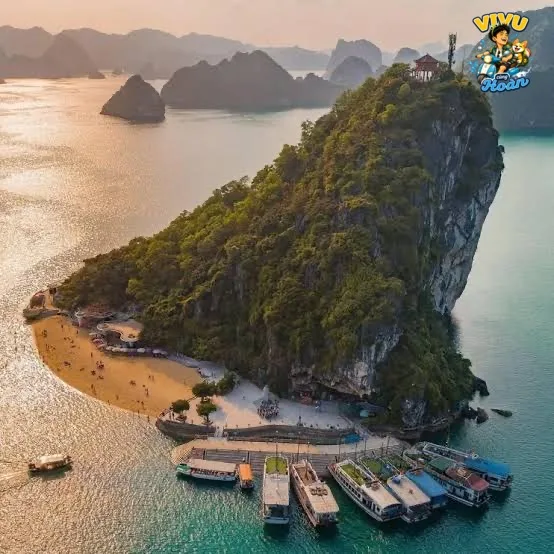 Ảnh tham khảo về kinh nghiệm đi Đảo Ti Tốp