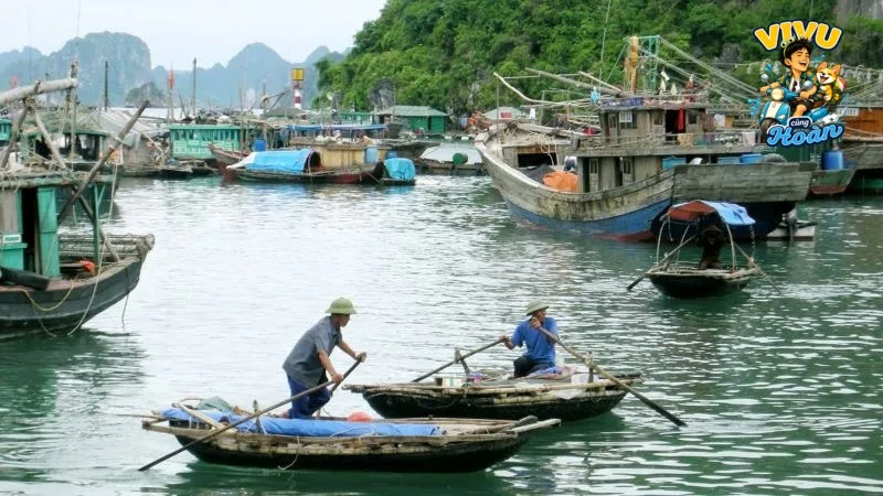 Ảnh tham khảo về kinh nghiệm đi Làng chài Cửa Vạn