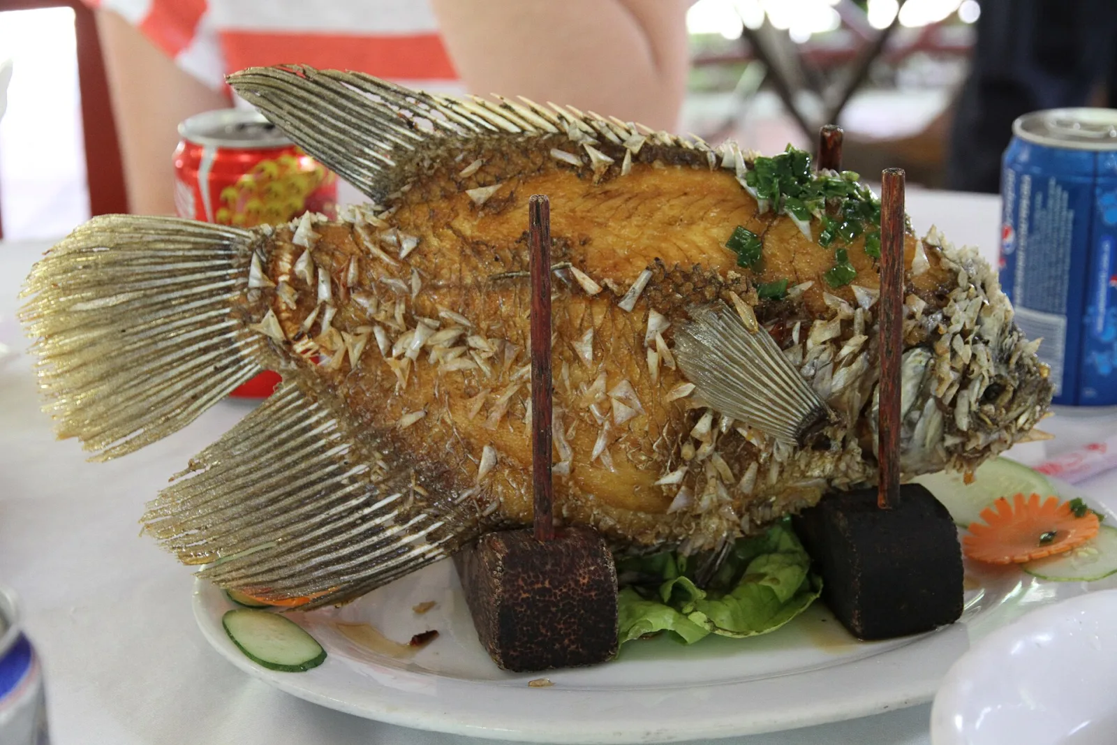 Ảnh minh họa cho Food tour Bãi Cháy cho gia đình