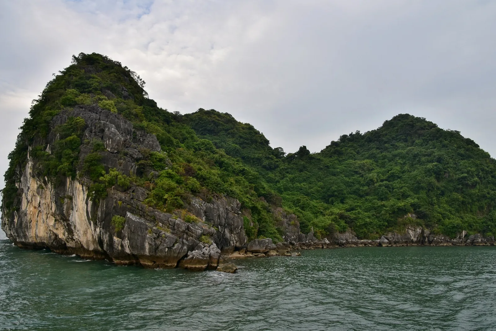 Ảnh minh họa cho Hang Đầu Gỗ