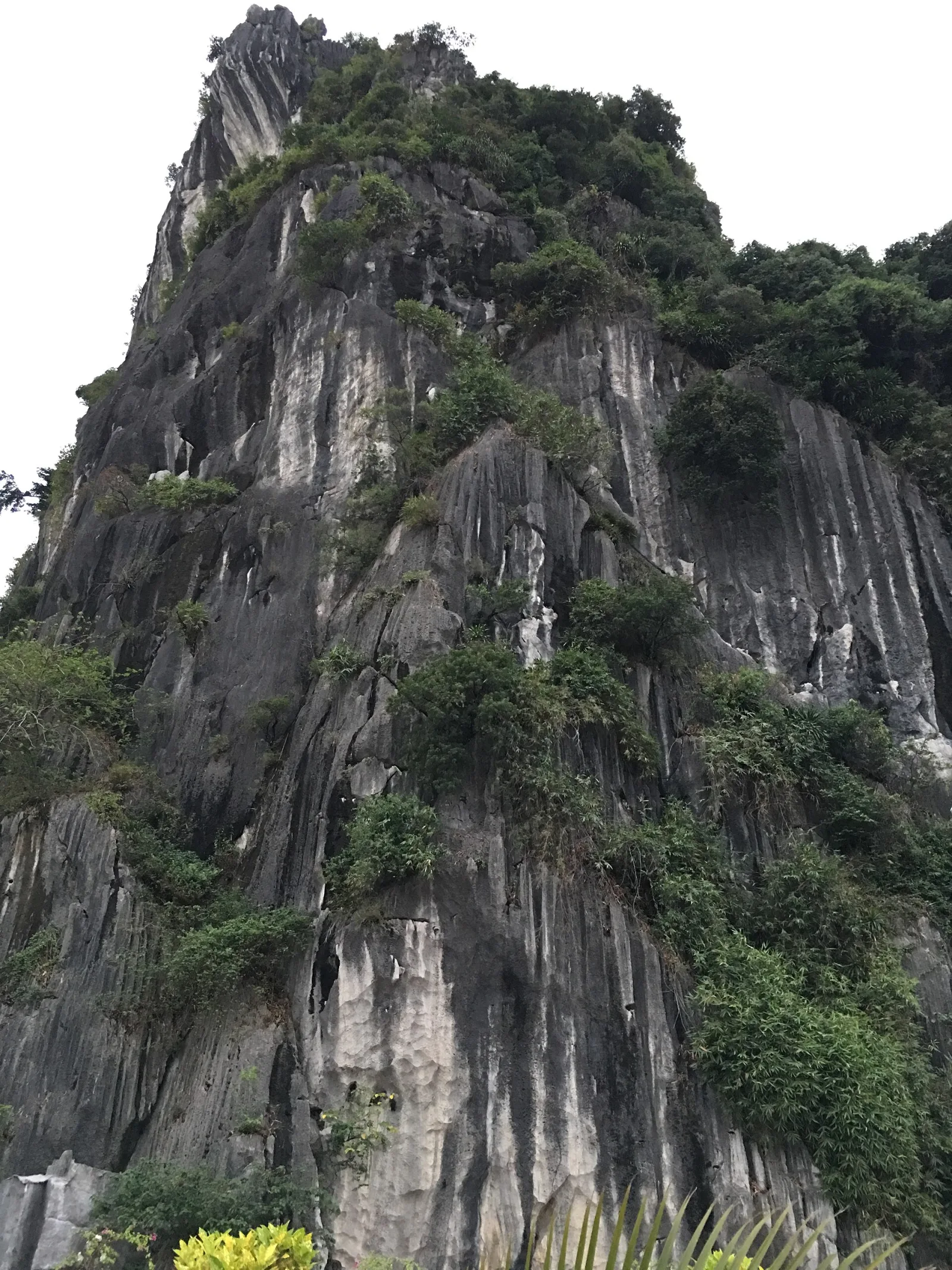 Ảnh minh họa cho Lịch trình Hạ Long 1 ngày cho gia đình có trẻ nhỏ