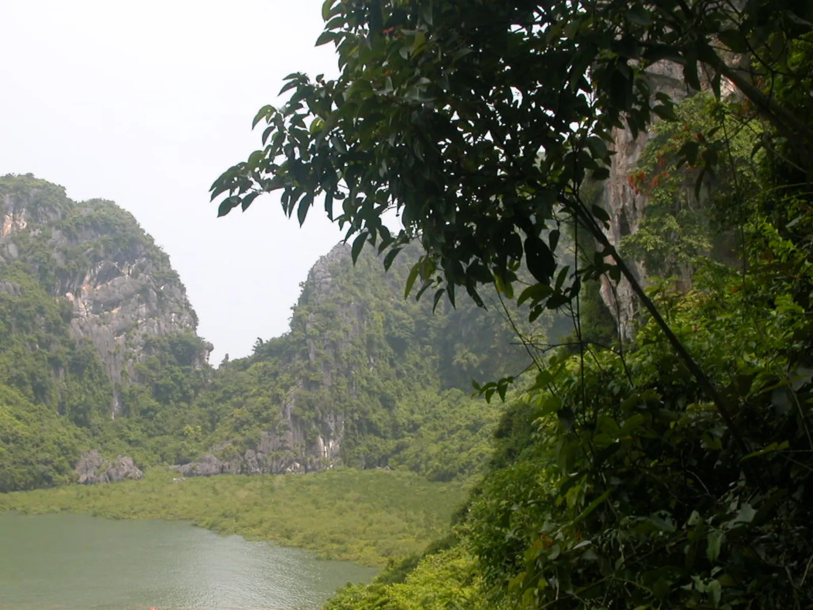 Ảnh minh họa cho Lịch trình Hạ Long cuối tuần cho người lớn tuổi