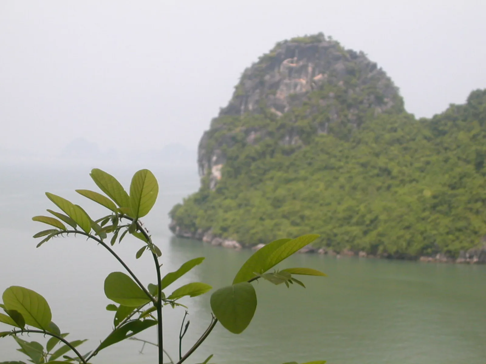 Ảnh minh họa cho Động Thiên Cung