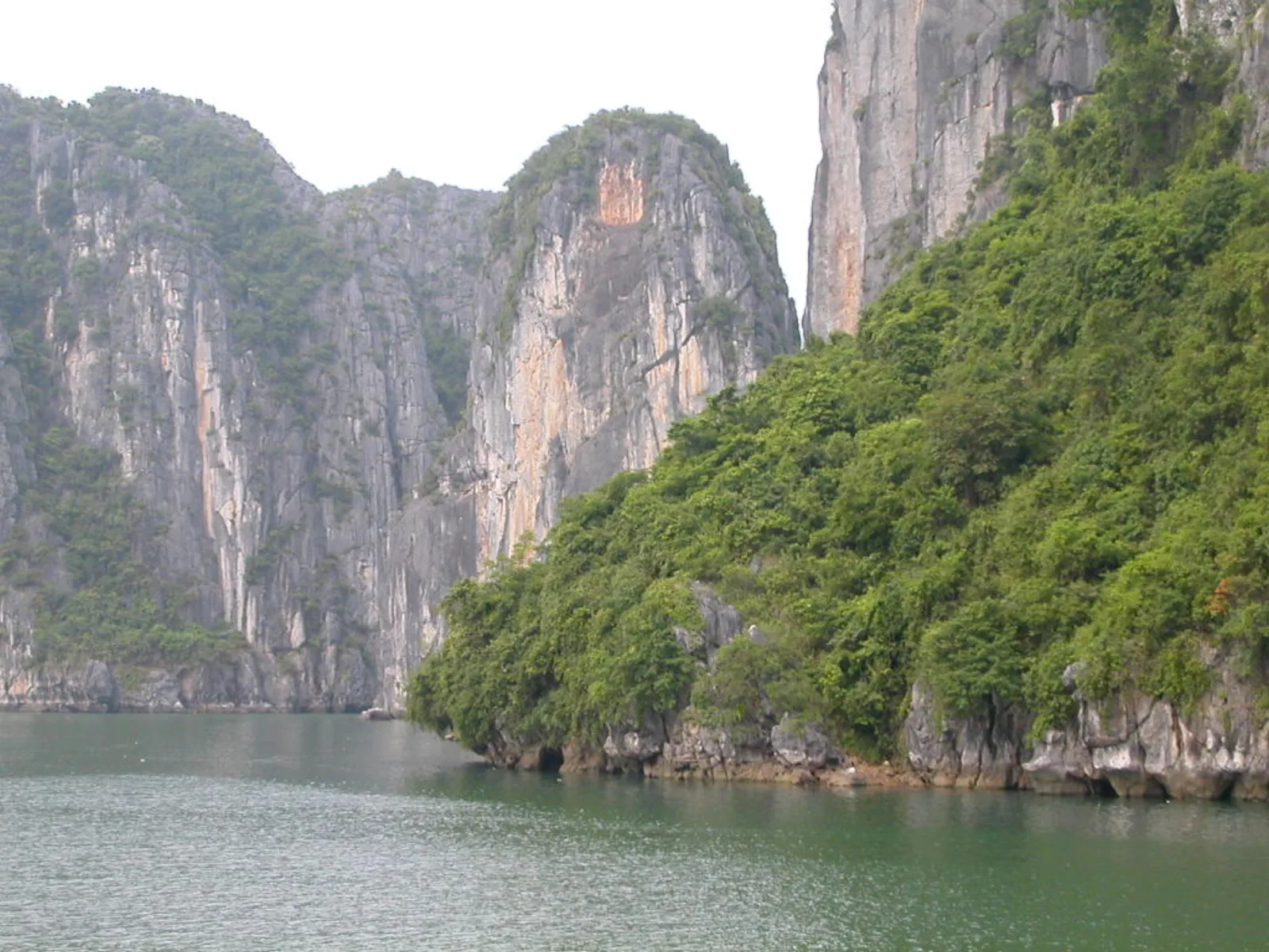 Ảnh minh họa cho Chợ đêm Hạ Long