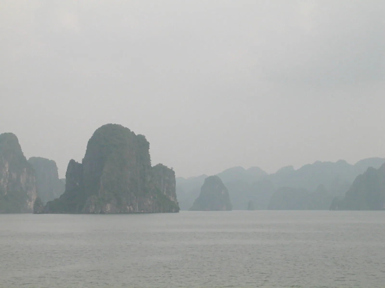 Ảnh minh họa cho Cung Cá Heo Quảng Ninh