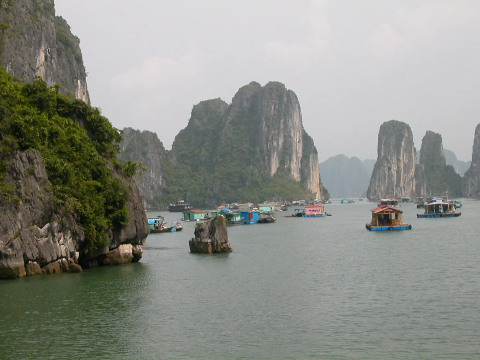 Ảnh minh họa cho Ngán Quảng Ninh là gì và chế biến thế nào