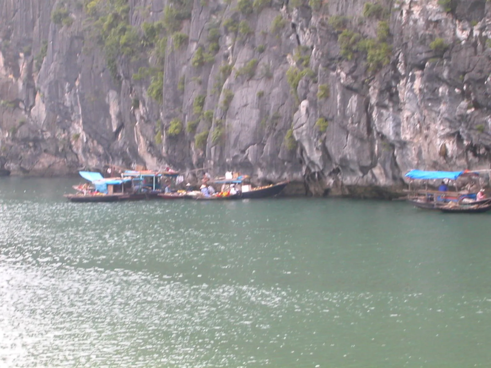 Ảnh minh họa cho Ăn tối Hạ Long cho nhóm 10 người