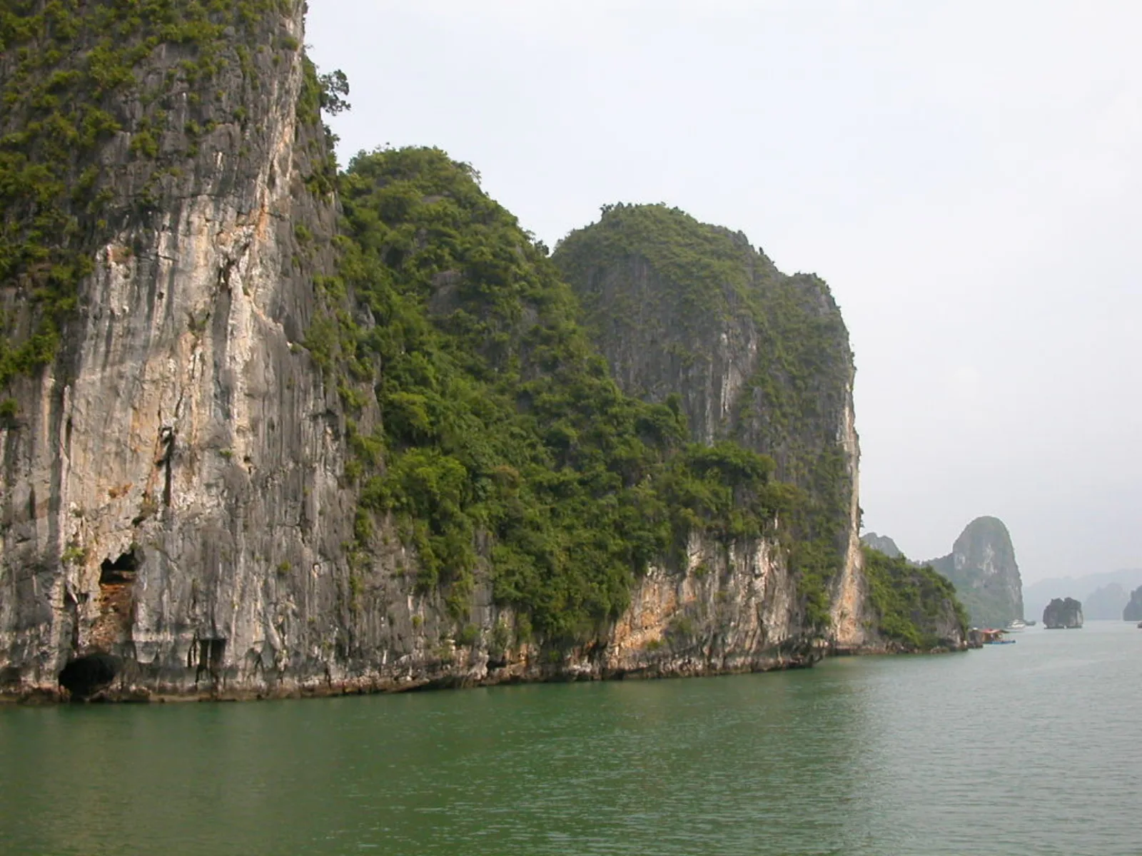 Ảnh minh họa cho Ăn tối Hạ Long cho nhóm 20 người