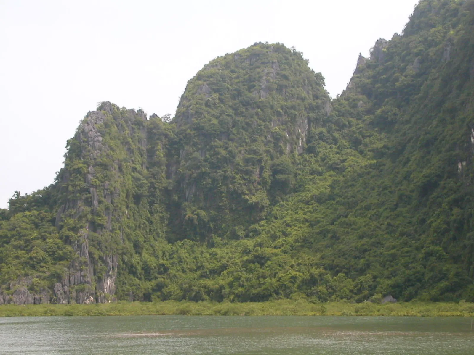 Ảnh minh họa cho Villa Hạ Long 7 phòng ngủ phù hợp bao nhiêu người