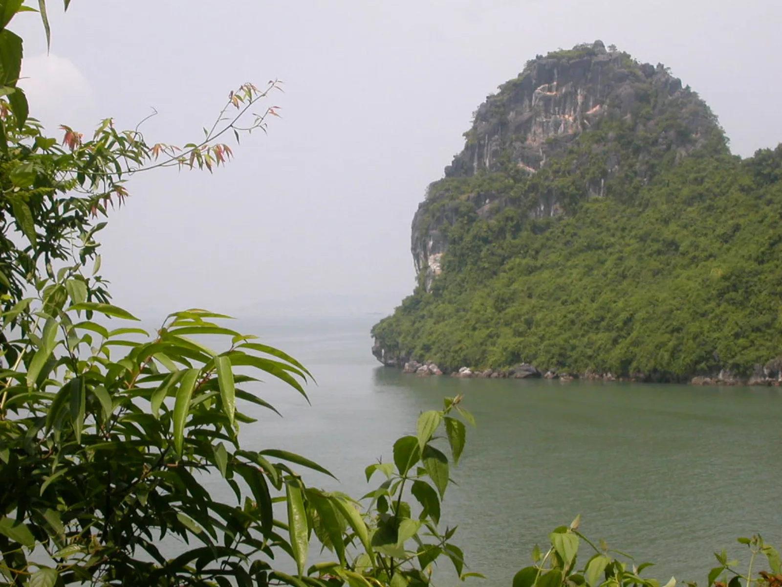 Ảnh minh họa cho Di chuyển từ Hạ Long đến Vân Đồn
