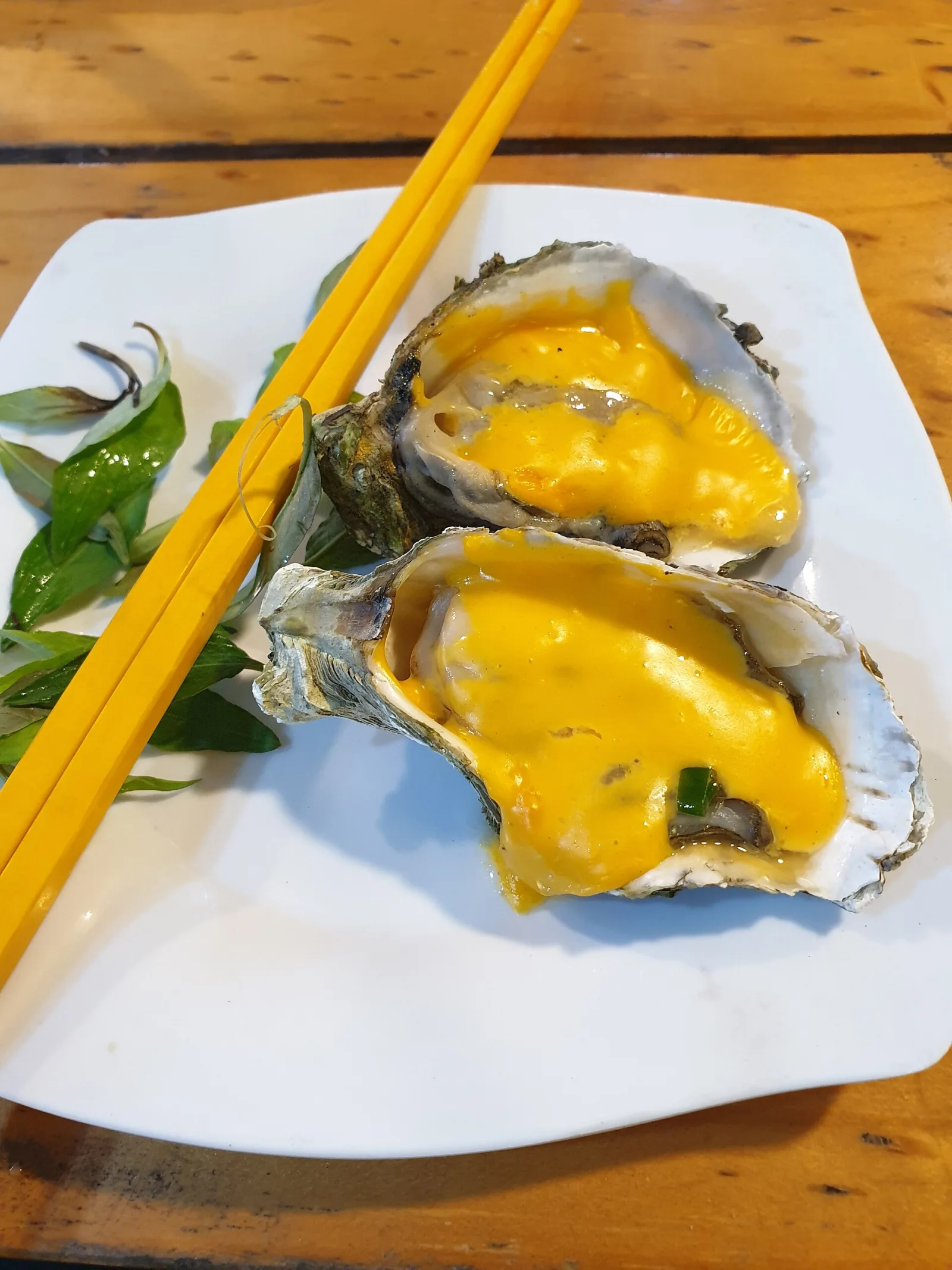 Ảnh minh họa cho Hạ Long kết hợp Cát Bà