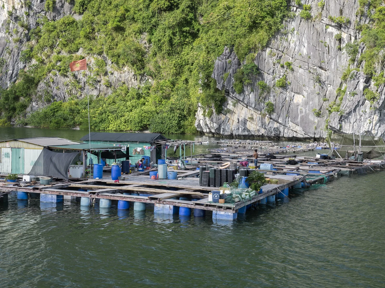 Ảnh minh họa Halong Marina: ăn uống và đi dạo