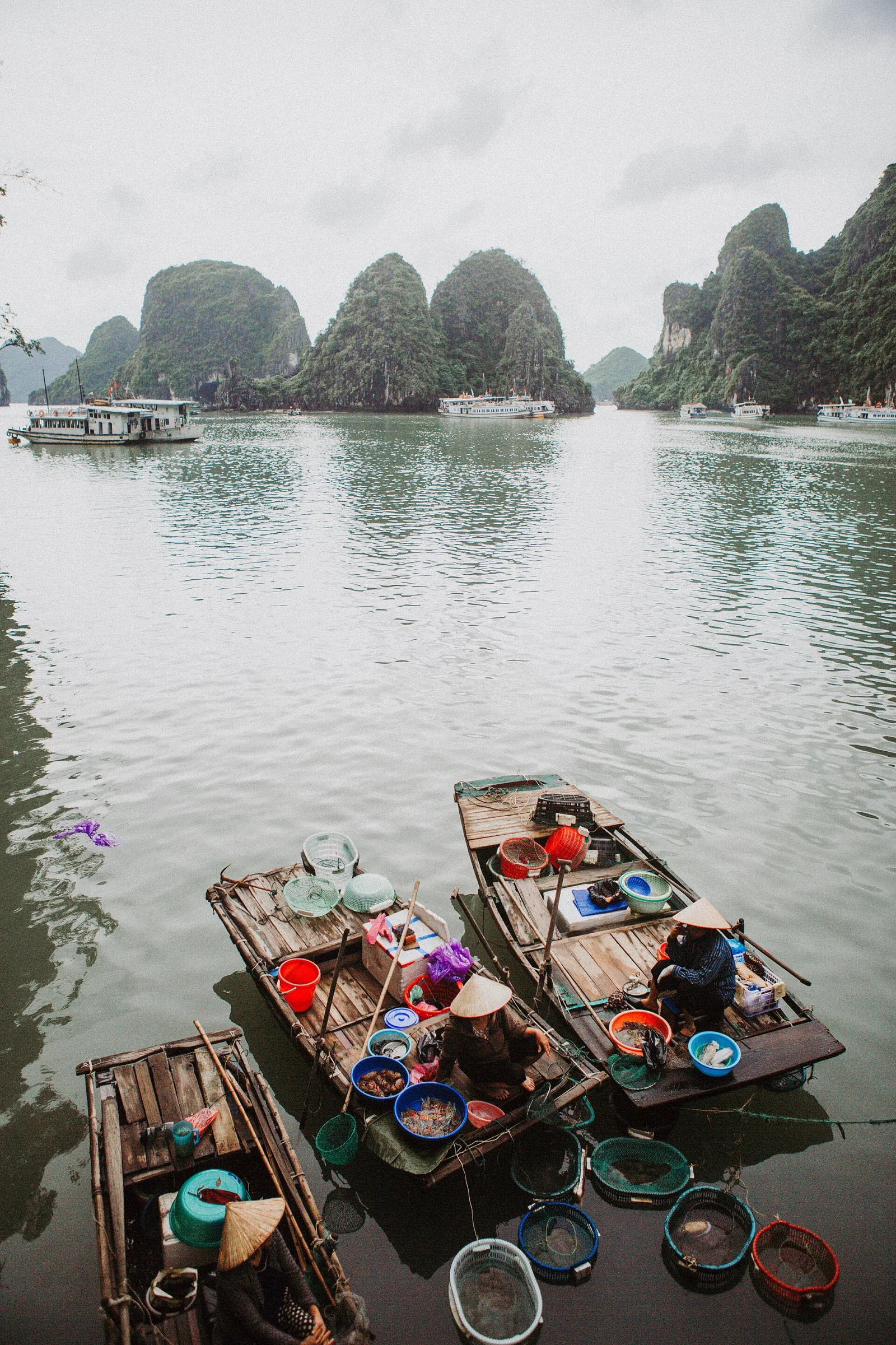 Ảnh minh họa Mua hải sản Hạ Long mang về cần lưu ý gì?